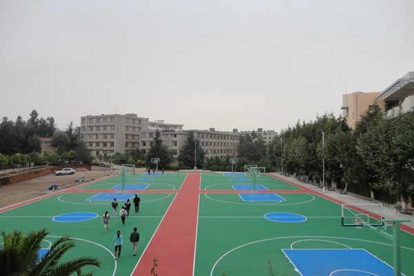 金華硅PU球場施工：打造專業運動空間的精工
